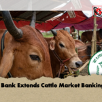 Central Bank Extends Cattle Market Banking Hours 1 Central Bank Extends Cattle Market Banking Hours