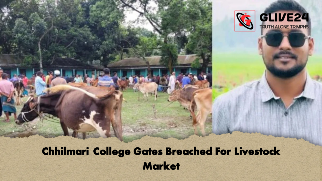 Chhilmari College Gates Breached For Livestock Market 2 Chhilmari College Gates Breached For Livestock Market