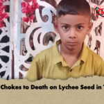 Child Chokes to Death on Lychee Seed in Tarail Child Chokes to Death on Lychee Seed in Tarail
