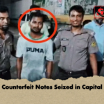 Counterfeit Notes Seized in Capital Counterfeit Notes Seized in Capital