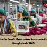 Decline in Credit Guarantee Insurance Facing Bangladesh RMG