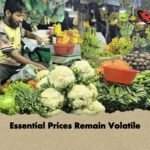 Essential Prices Remain Volatile 1 Essential Prices Remain Volatile