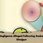 Fatal Negligence Alleged Following Snakebite in Dinajpur Fatal Negligence Alleged Following Snakebite in Dinajpur