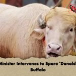Home Minister Intervenes to Spare Donald Trump Buffalo Home Minister Intervenes to Spare 'Donald Trump' Buffalo