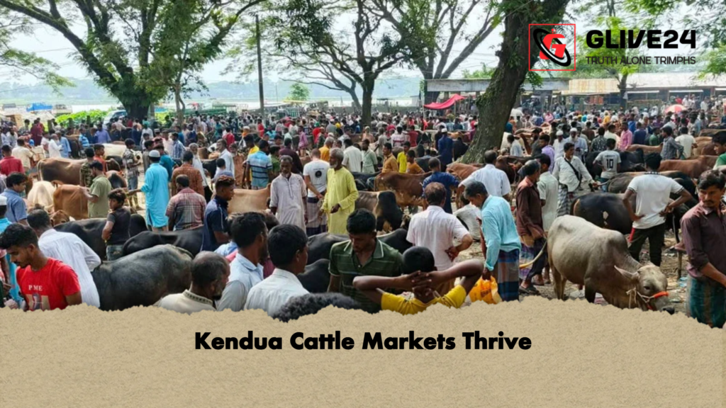 Kendua Cattle Markets Thrive Kendua Cattle Markets Thrive