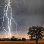 Lightning Strikes Claim Eight Lives Lightning Strikes Claim Eight Lives