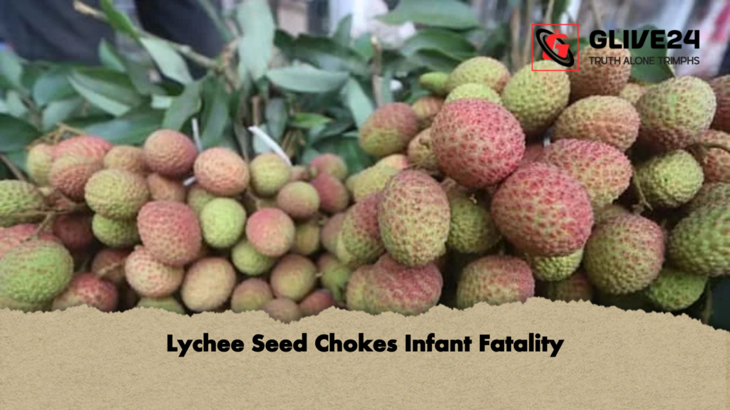 Lychee Seed Chokes Infant Fatality Lychee Seed Chokes Infant Fatality