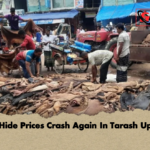 Raw Hide Prices Crash Again In Tarash Upazila 1 Raw Hide Prices Crash Again In Tarash Upazila