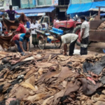 Raw Hide Prices Crash Again In Tarash Upazila Raw Hide Prices Crash Again In Tarash Upazila