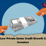 Record Low Private Sector Credit Growth Concerns Investors Record Low Private Sector Credit Growth Concerns Investors