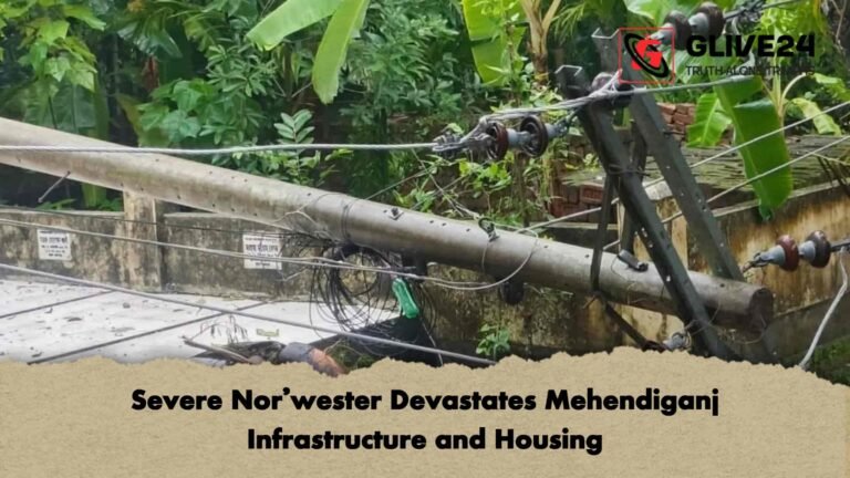 Severe Nor'wester Devastates Mehendiganj Infrastructure and Housing