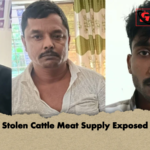 Stolen Cattle Meat Supply Exposed Stolen Cattle Meat Supply Exposed