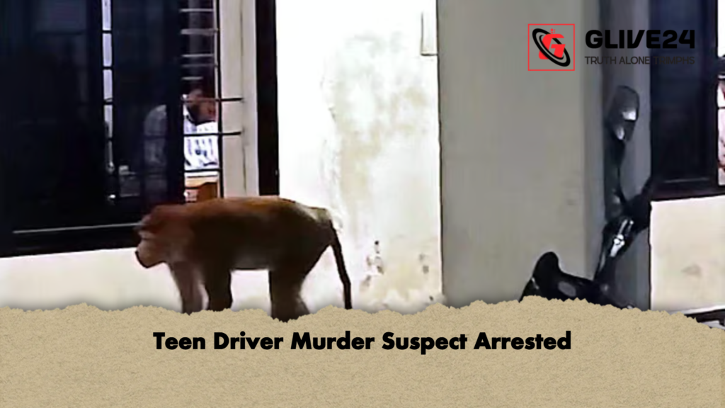 Teen Driver Murder Suspect Arrested 2 Teen Driver Murder Suspect Arrested Teen Driver Murder Suspect Arrested