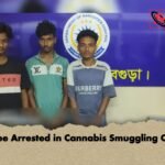 Three Arrested in Cannabis Smuggling Case 1 Three Arrested in Cannabis Smuggling Case