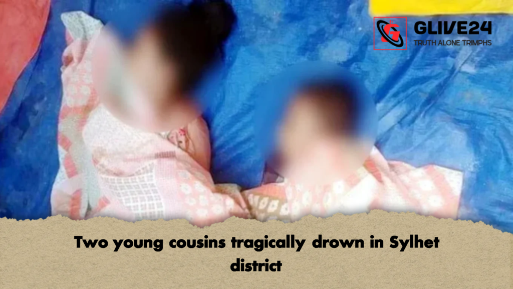 Two young cousins tragically drown in Sylhet district 2 Two young cousins tragically drown in Sylhet district