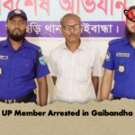 UP Member Arrested in Gaibandha UP Member Arrested in Gaibandha