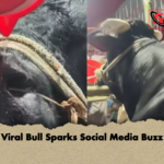 Viral Bull Sparks Social Media Buzz Viral Bull Sparks Social Media Buzz