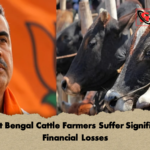 West Bengal Cattle Farmers Suffer Significant Financial Losses 1 West Bengal Cattle Farmers Suffer Significant Financial Losses