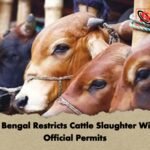 West Bengal Restricts Cattle Slaughter Without Official Permits