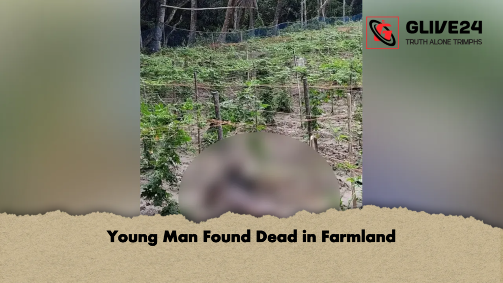 Young Man Found Dead in Farmland Young Man Found Dead in Farmland
