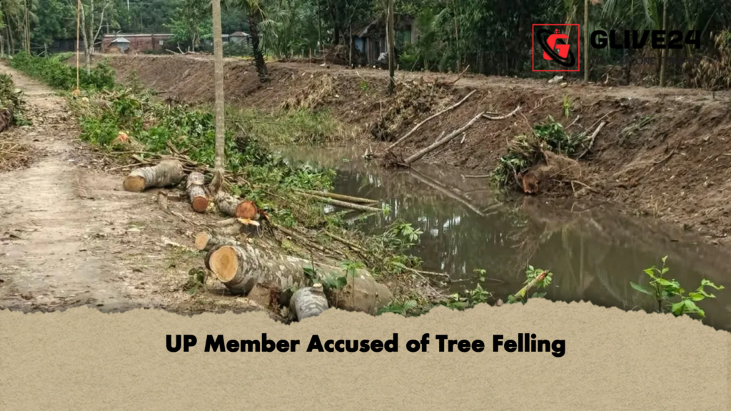 news thumbnail 1777728184935 UP Member Accused of Tree Felling