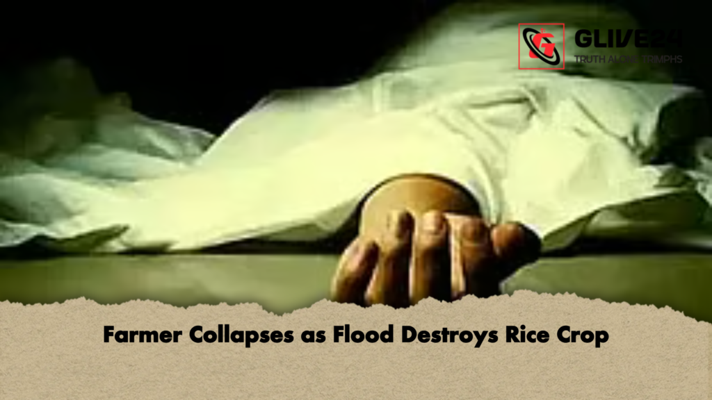 news thumbnail 1777729360433 Farmer Collapses as Flood Destroys Rice Crop