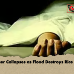 news thumbnail 1777729360433 Farmer Collapses as Flood Destroys Rice Crop