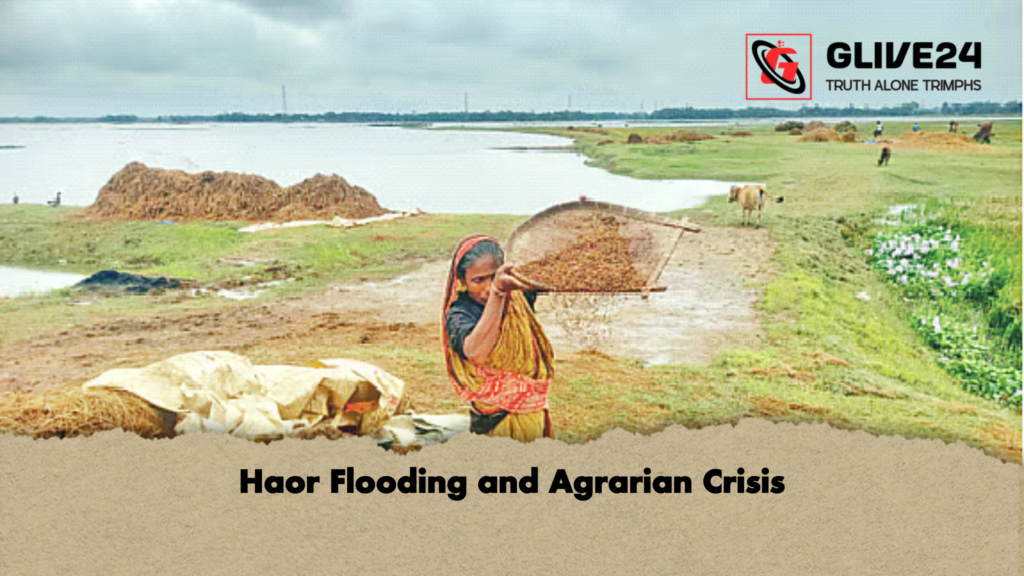 news thumbnail 1777874535506 Haor Flooding and Agrarian Crisis
