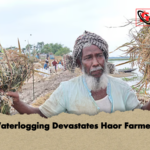 news thumbnail 1777882467531 Waterlogging Devastates Haor Farmers