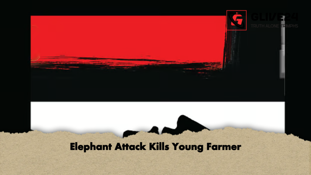 news thumbnail 1778046678019 Elephant Attack Kills Young Farmer