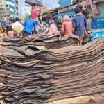 চামড়া ব্যবস্থাপনায় সরকারের নতুন সিদ্ধান্ত Government Announces New Hide Policy