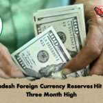 Bangladesh Foreign Currency Reserves Hit Forty Three Month High 1 Bangladesh Foreign Currency Reserves Hit Forty-Three Month High