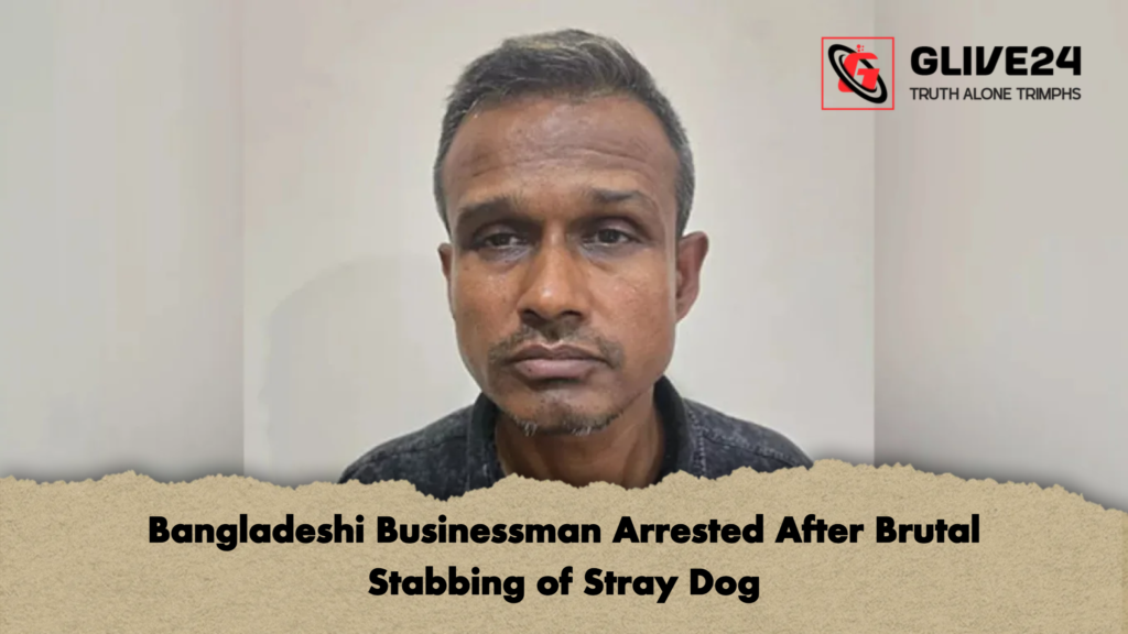 Bangladeshi Businessman Arrested After Brutal Stabbing of Stray Dog 2 Bangladeshi Businessman Arrested After Brutal Stabbing of Stray Dog