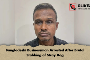 Bangladeshi Businessman Arrested After Brutal Stabbing of Stray Dog