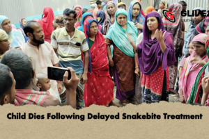 Child Dies Following Delayed Snakebite Treatment