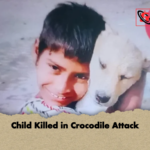 Child Killed in Crocodile Attack Child Killed in Crocodile Attack