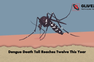 Dengue Death Toll Reaches Twelve This Year