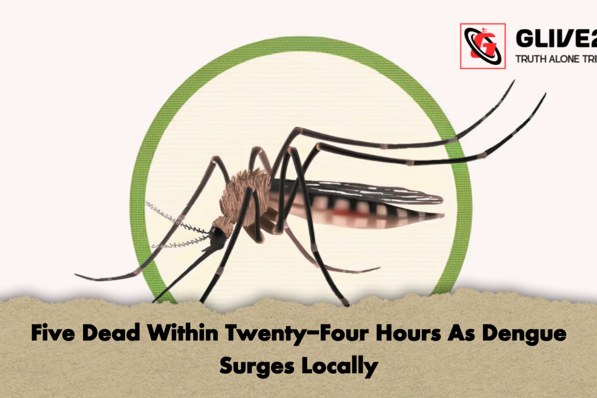 Five Dead Within Twenty-Four Hours As Dengue Surges Locally