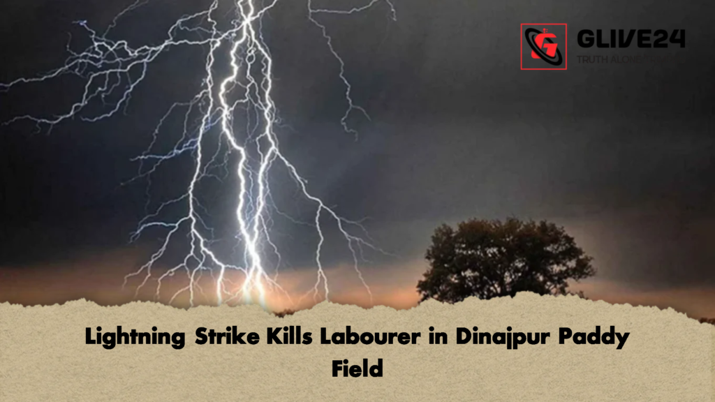 Lightning Strike Kills Labourer in Dinajpur Paddy Field 2 Lightning Strike Kills Labourer in Dinajpur Paddy Field 2 Lightning Strike Kills Labourer in Dinajpur Paddy Field