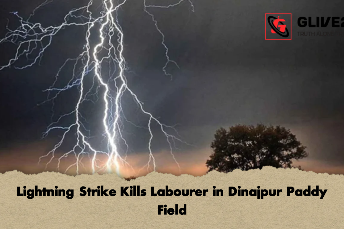 Lightning Strike Kills Labourer in Dinajpur Paddy Field