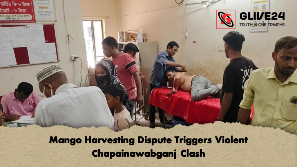 Mango Harvesting Dispute Triggers Violent Chapainawabganj Clash 2 Mango Harvesting Dispute Triggers Violent Chapainawabganj Clash