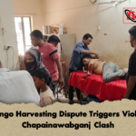 Mango Harvesting Dispute Triggers Violent Chapainawabganj Clash 2 Mango Harvesting Dispute Triggers Violent Chapainawabganj Clash