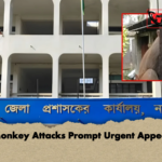 Monkey Attacks Prompt Urgent Appeal Monkey Attacks Prompt Urgent Appeal