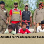 Seven Arrested For Poaching In East Sundarbans Seven Arrested For Poaching In East Sundarbans