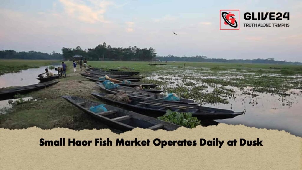 Small Haor Fish Market Operates Daily at Dusk