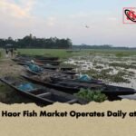 Small Haor Fish Market Operates Daily at Dusk