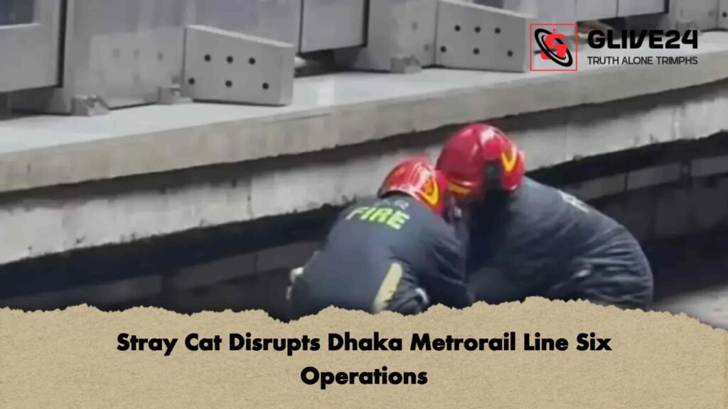 Stray Cat Disrupts Dhaka Metrorail Line Six Operations 2 Stray Cat Disrupts Dhaka Metrorail Line Six Operations