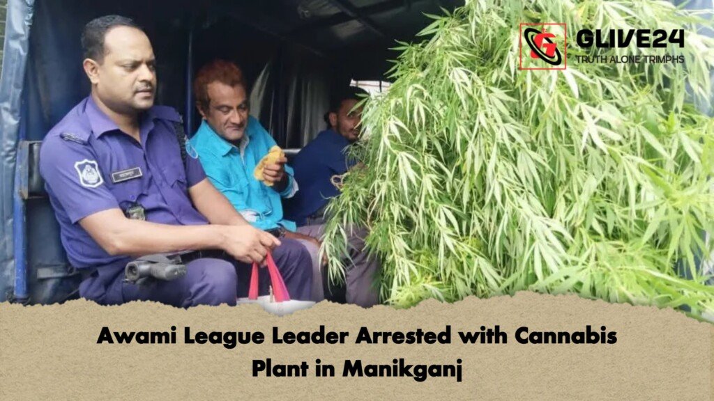 Awami League Leader Arrested with Cannabis Plant in Manikganj Awami League Leader Arrested with Cannabis Plant in Manikganj
