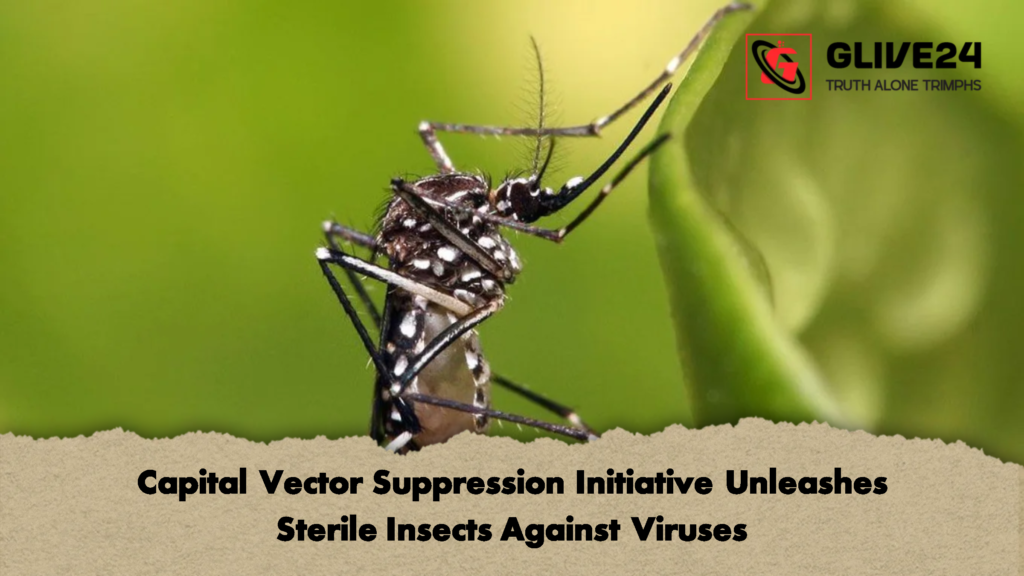 Capital Vector Suppression Initiative Unleashes Sterile Insects Against Viruses 2 Capital Vector Suppression Initiative Unleashes Sterile Insects Against Viruses