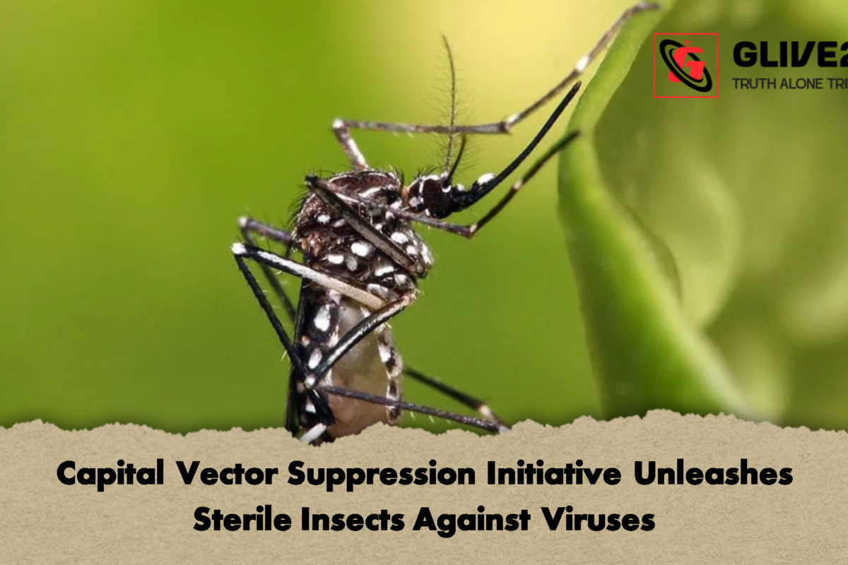 Capital Vector Suppression Initiative Unleashes Sterile Insects Against Viruses